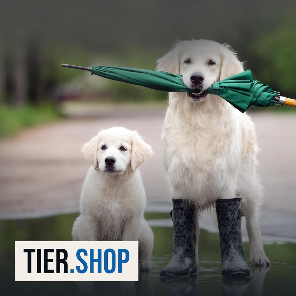 tier.shop